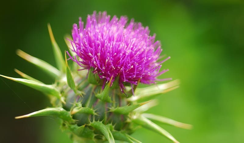 Maksatoimingut toetav vahend